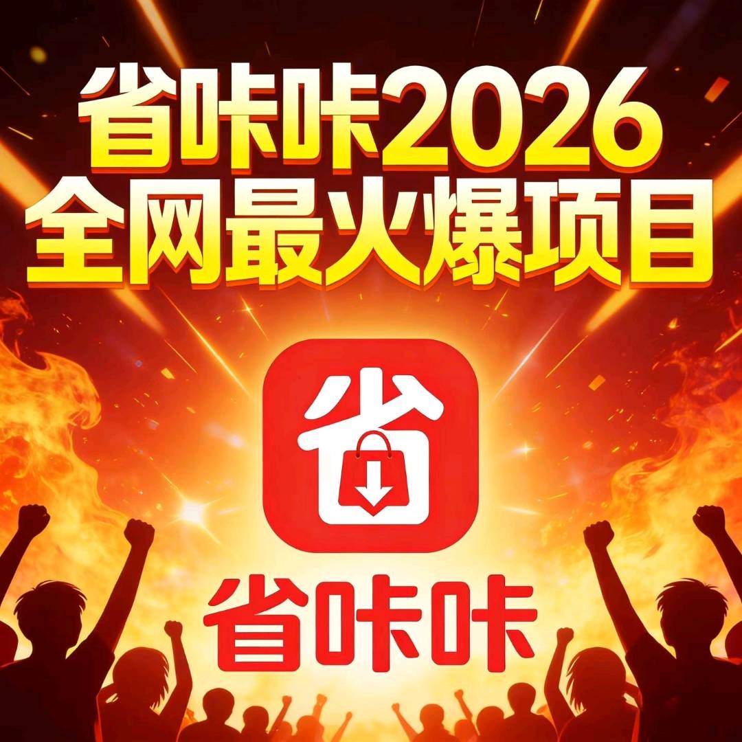 张先生找合伙人