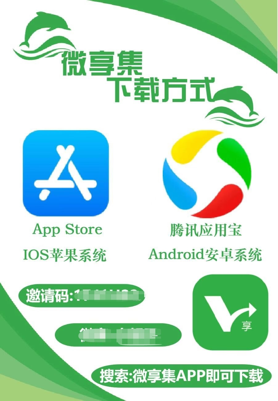 陈锋涛其他供需广告变现项目