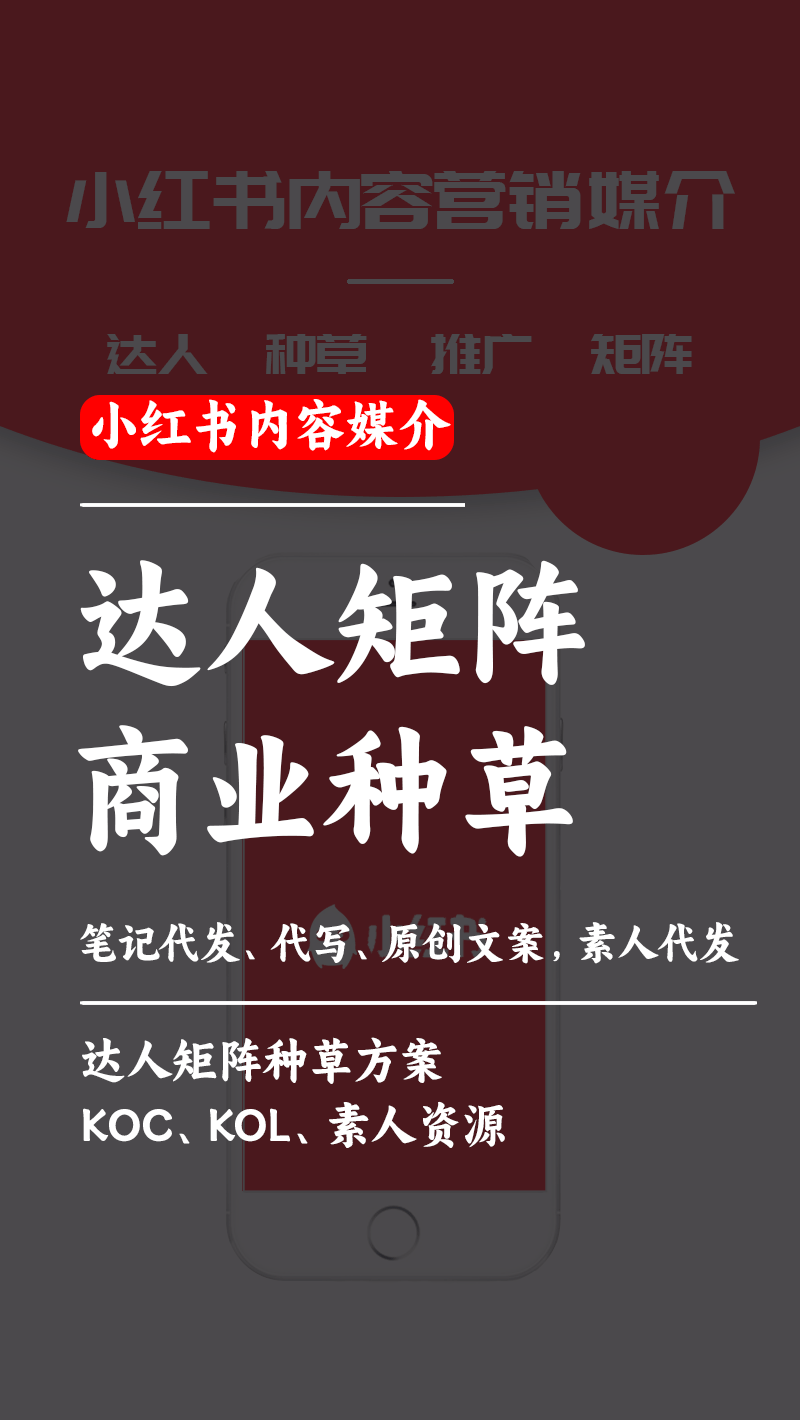 孙先生乙方信息小红书做商业种草，代写、代发