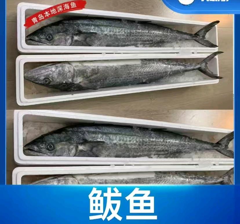 宋吉凯品牌货源青岛渔船直供海鲜，零投入