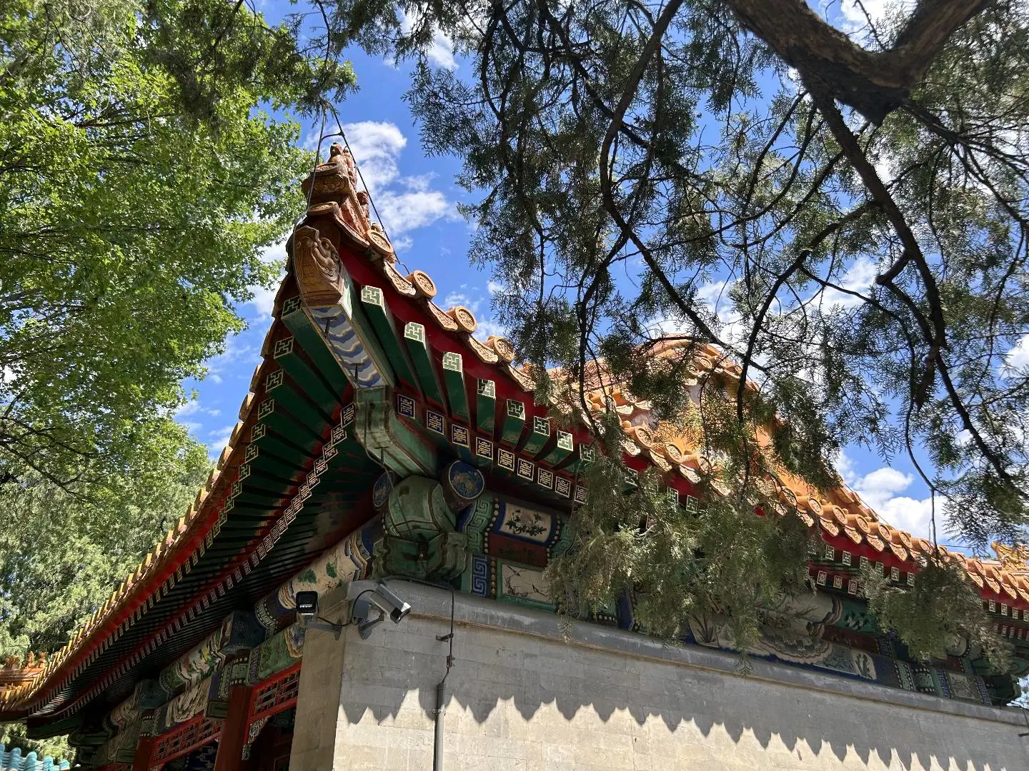 王女士找合伙人互联网项目已经跑通,寻找共创,公司托底全程扶持