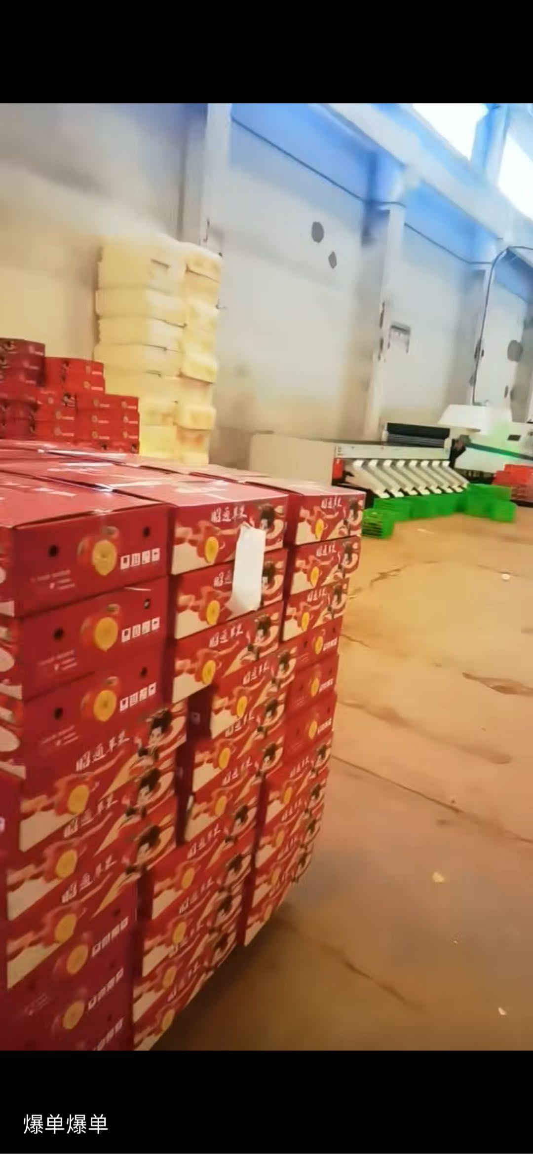 薛先生品牌货源