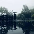 u客直谈实名认证程钢钢