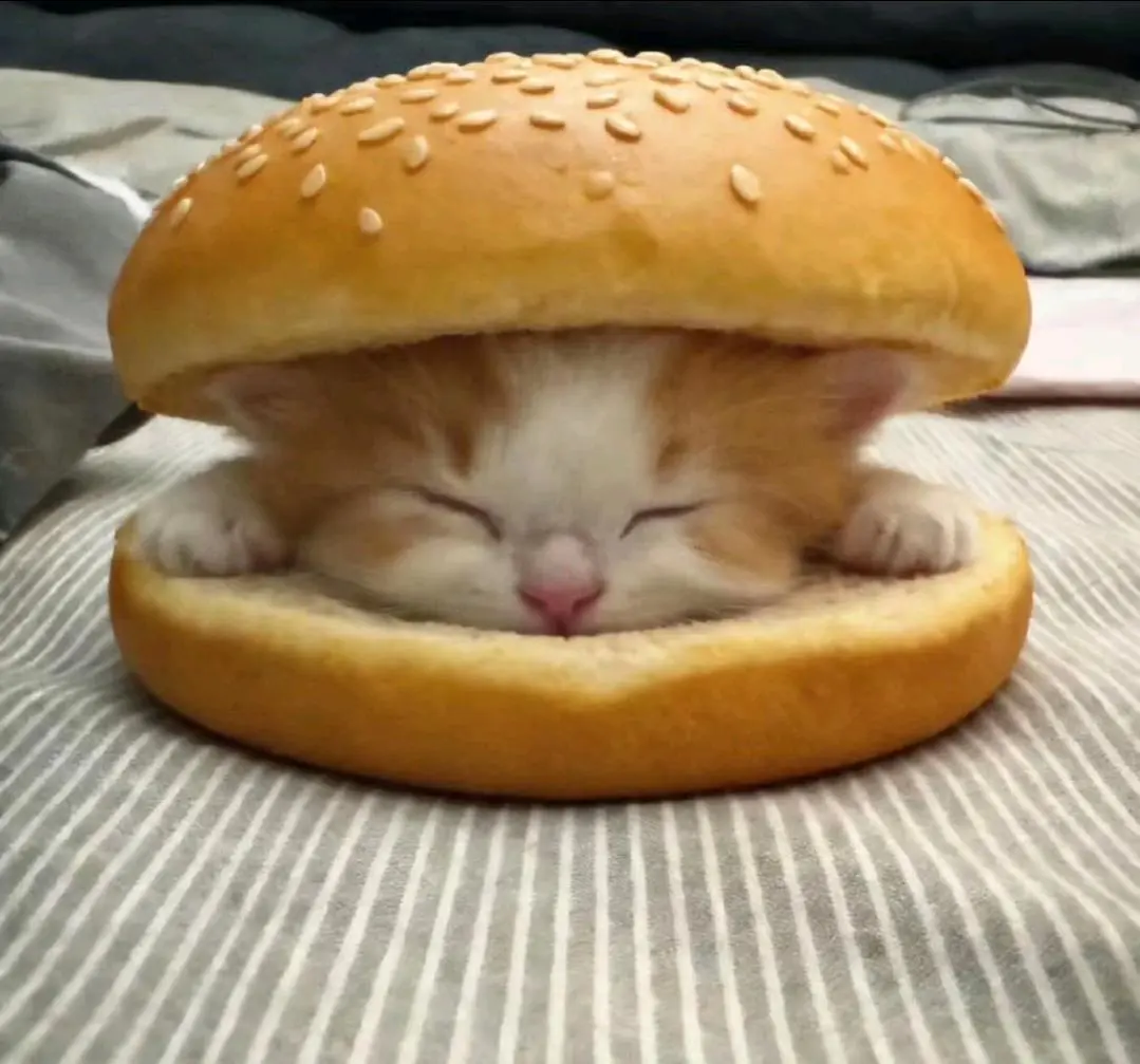 李静