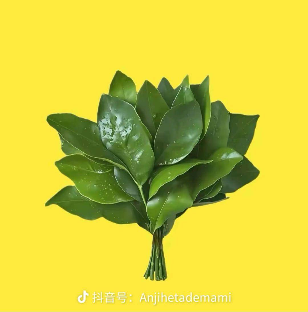 宋玉梅找合伙人寻求合作：传奇游戏全自动打金项目，免费带，收益稳定，设备无要求