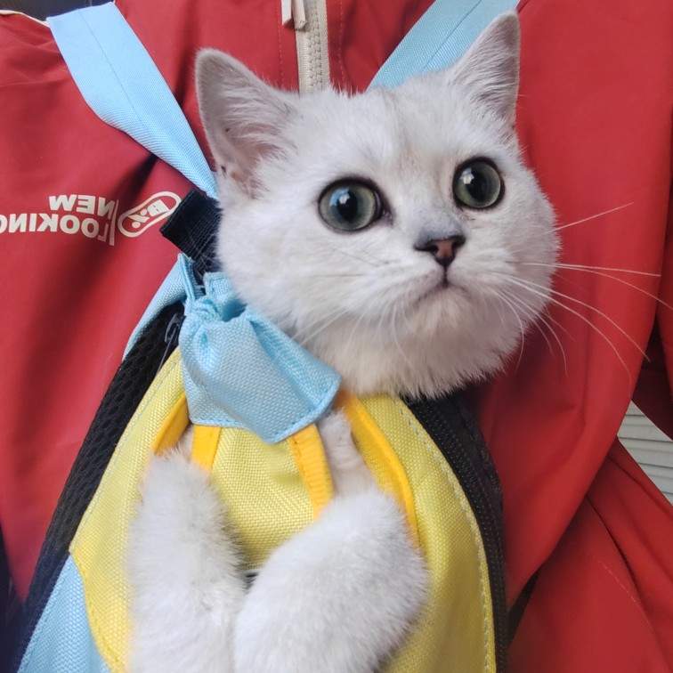 u客直谈实名认证孙先生