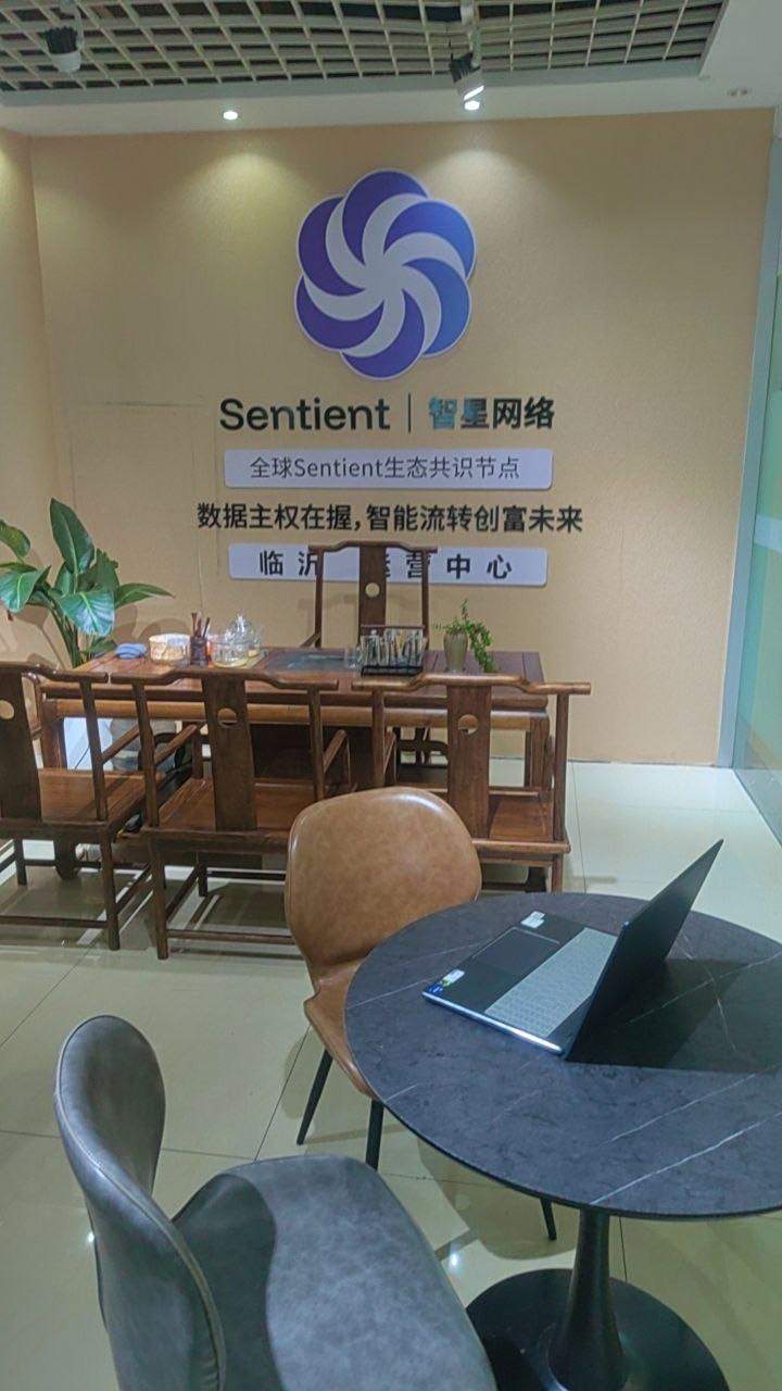 于跃跃智星网络，国际数据分发，用电脑或手机