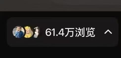 李女士找合伙人