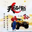 孙金亮
