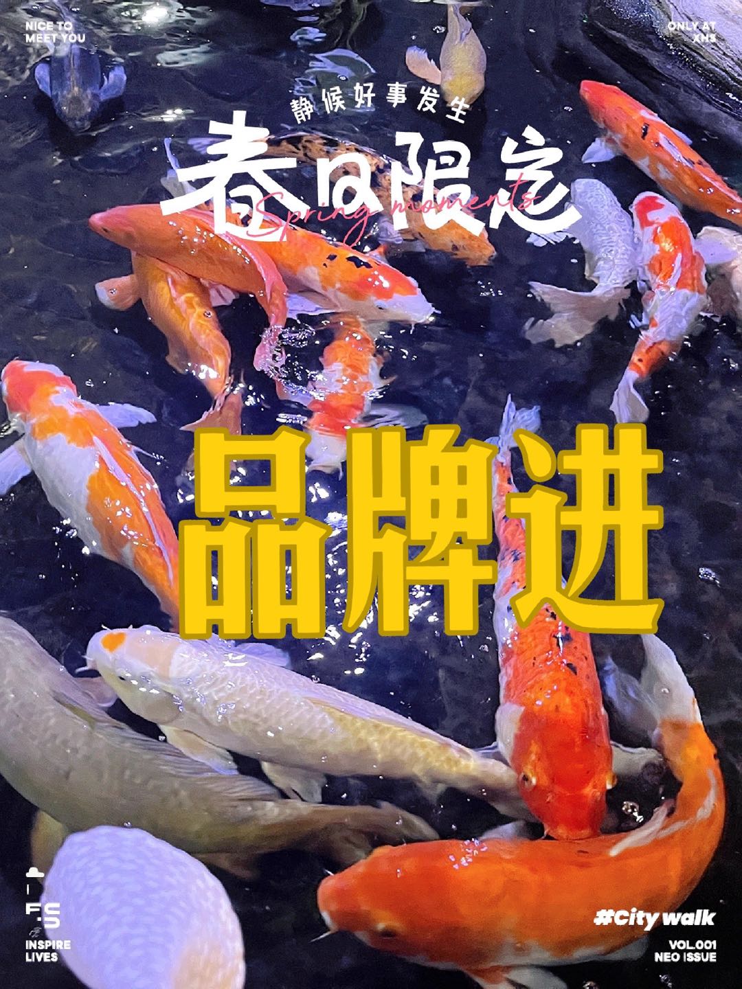 胡先生乙方信息提供品牌宣传，需要品牌方合作