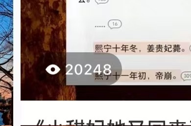 涂女士小说推文短剧推广，一部手机开启互联网道路