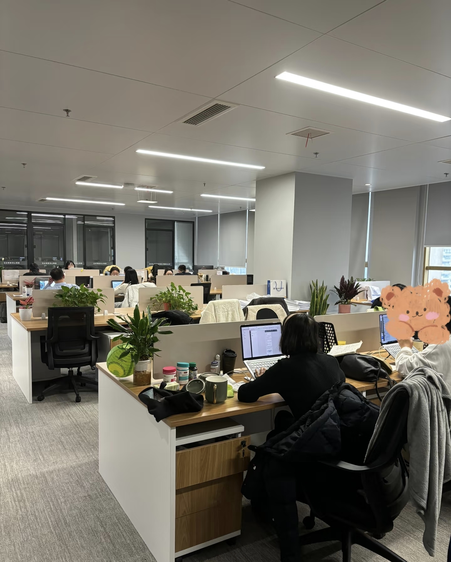 简新戋其他供需