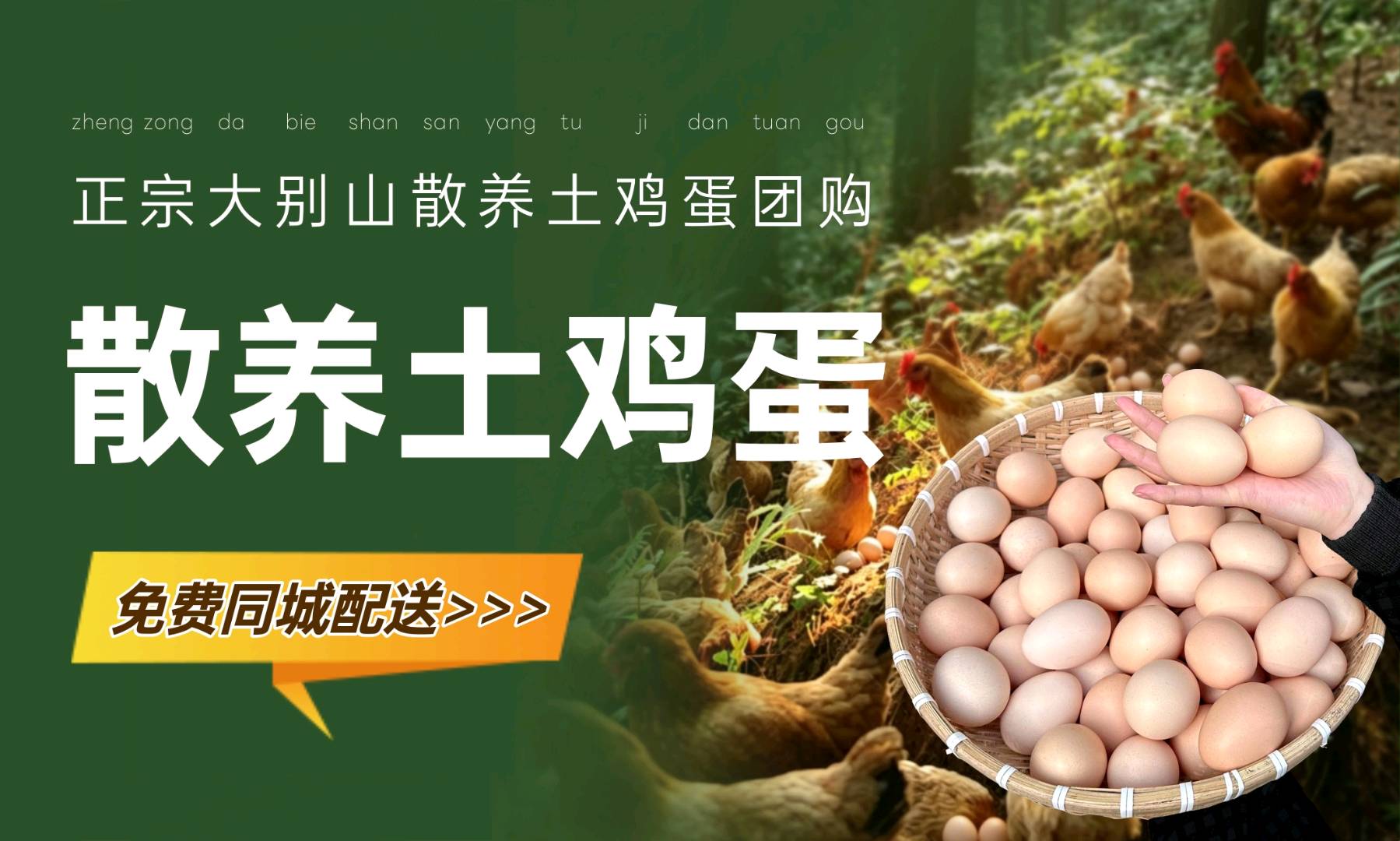 王先生找合伙人