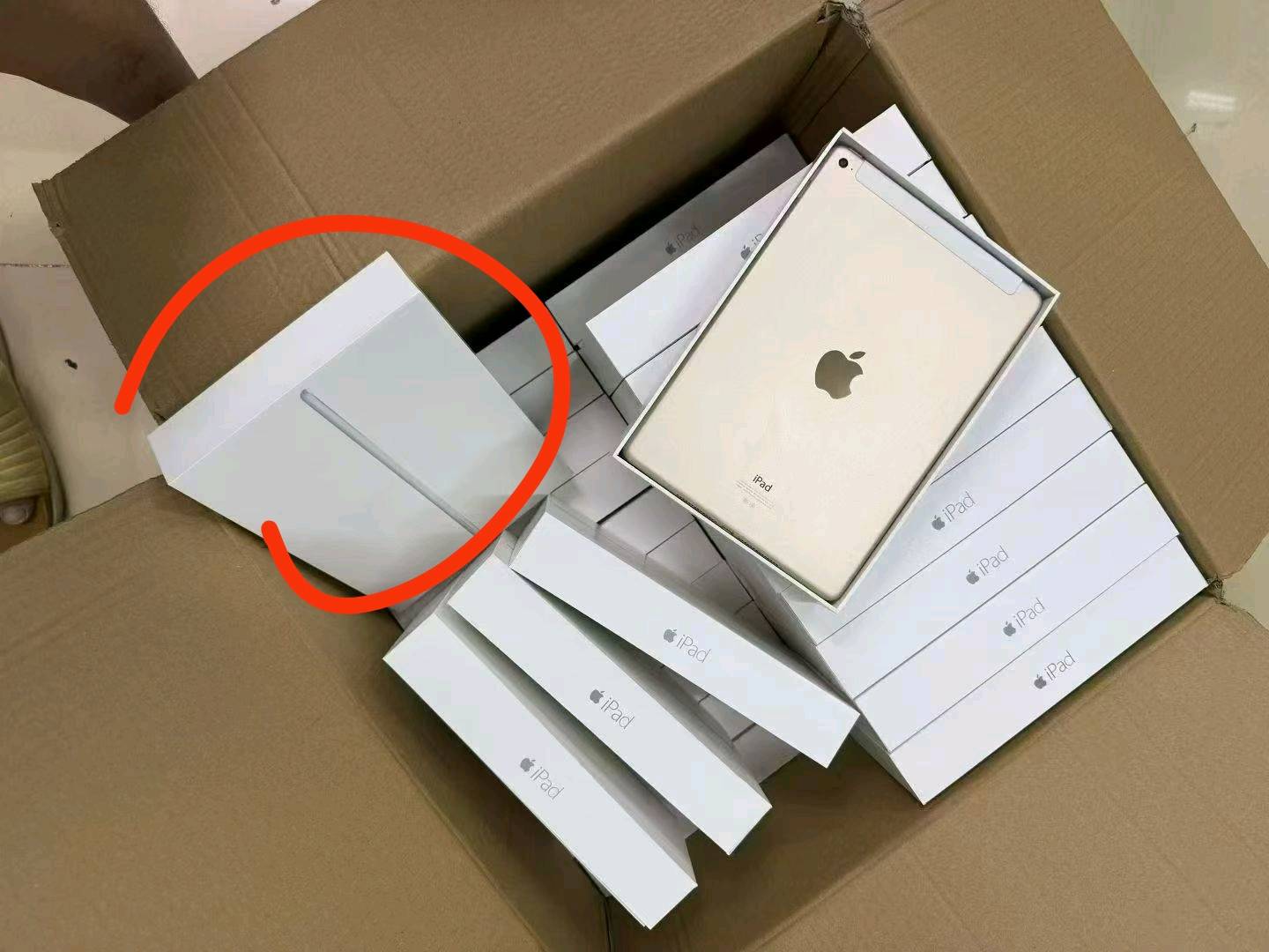 陈先生品牌货源