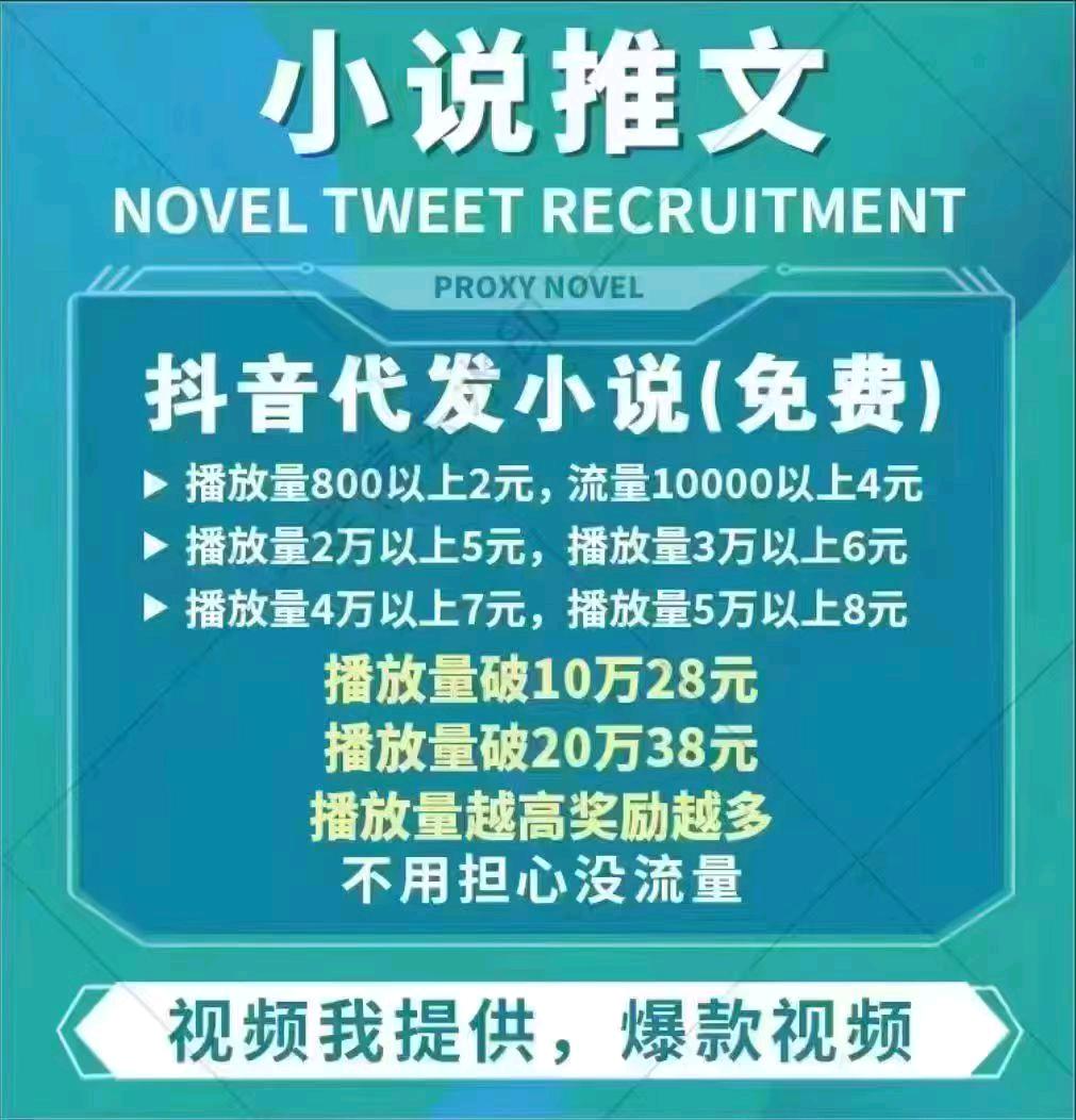 洒先生其他供需寻求抖音小说推文视频代发合作，提供素材，轻松上手，收益可观