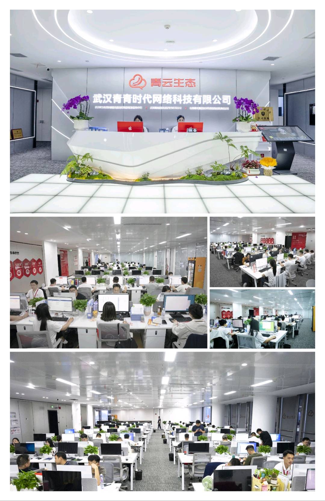 吴雁漳找合伙人