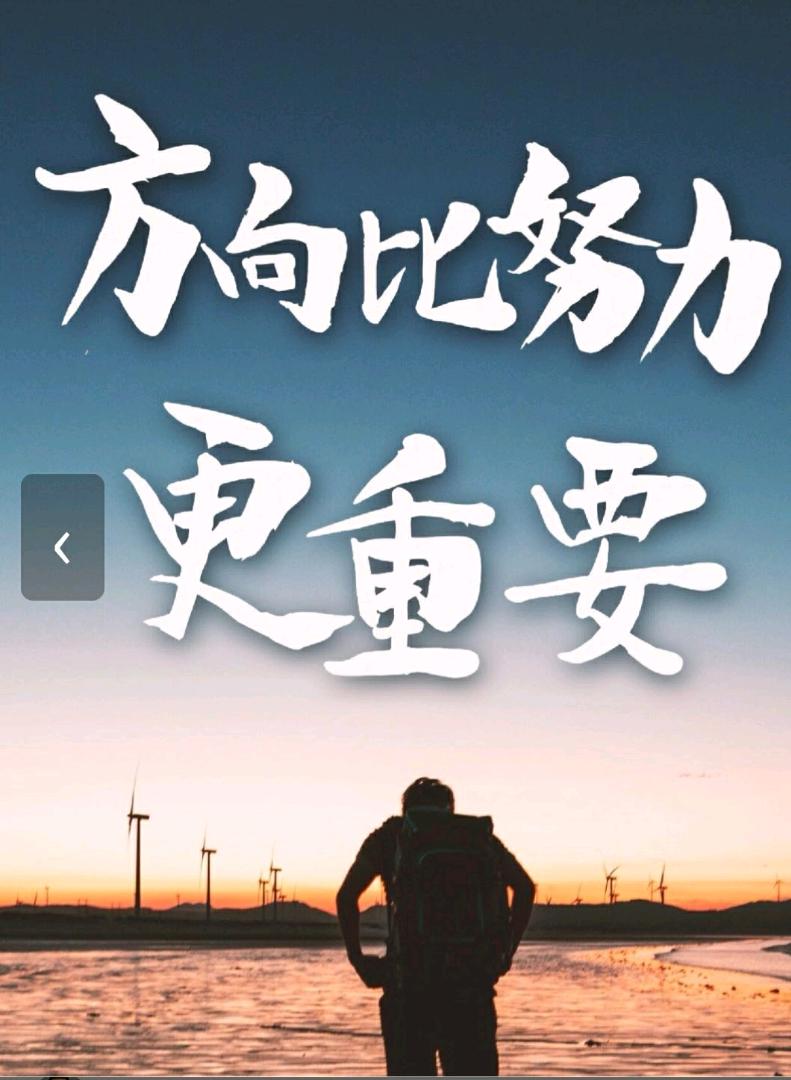 李先生找合伙人