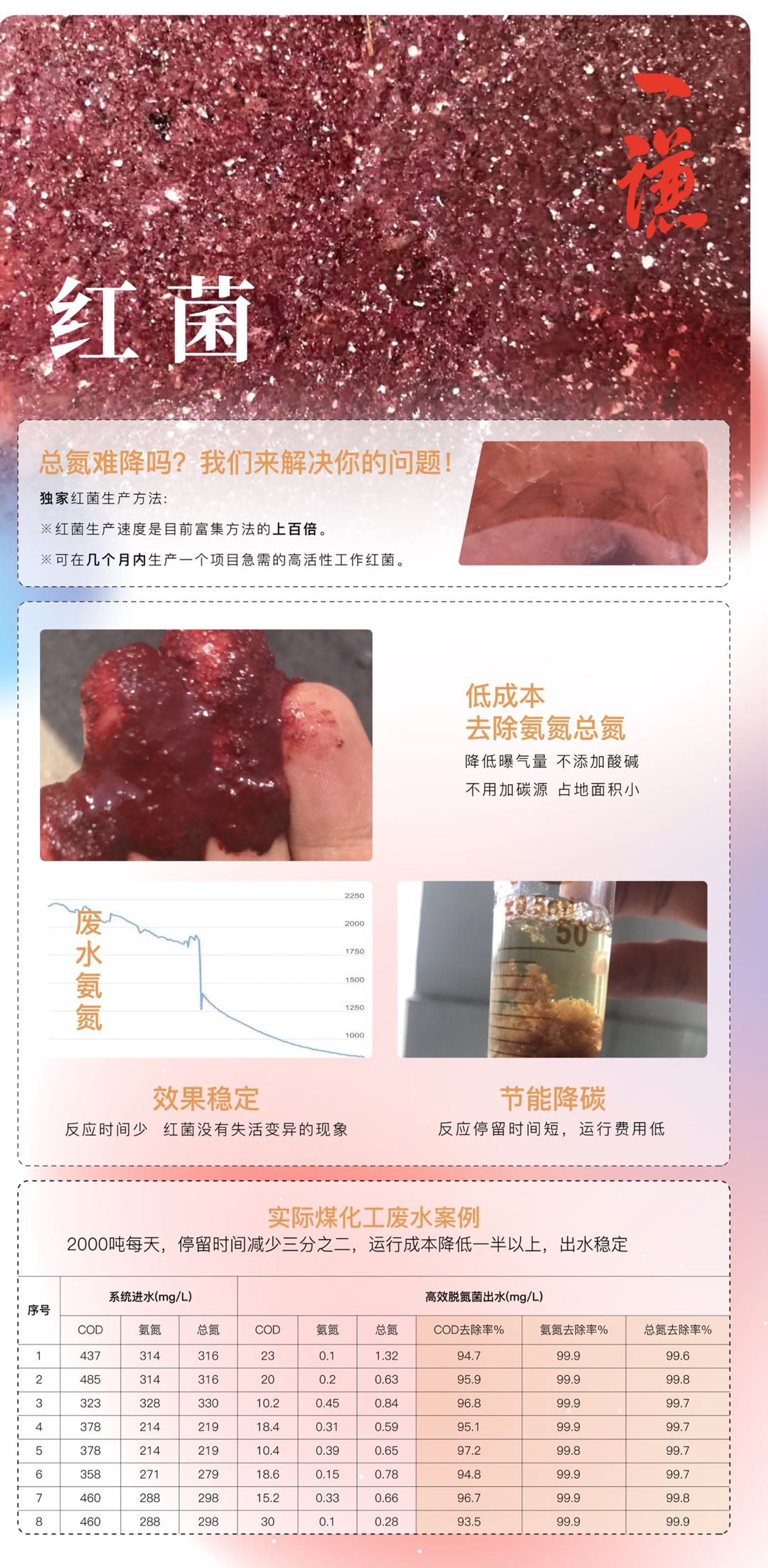 邓先生红菌药剂、祛除污水总氮含量可达99%