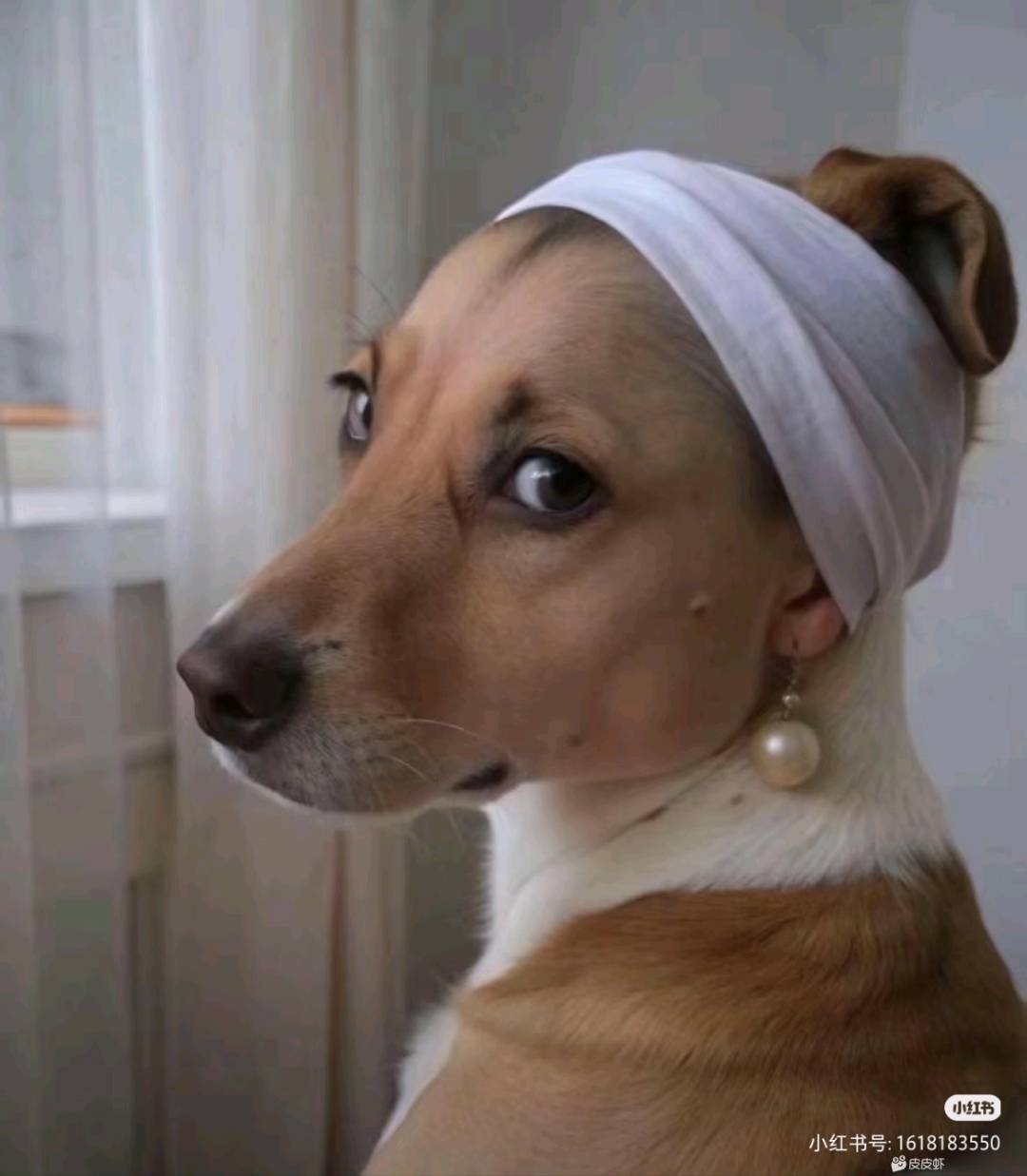 陈先生其他供需水果店引流项目