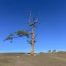 u客直谈实名认证严志刚