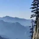 u客直谈实名认证冯伟