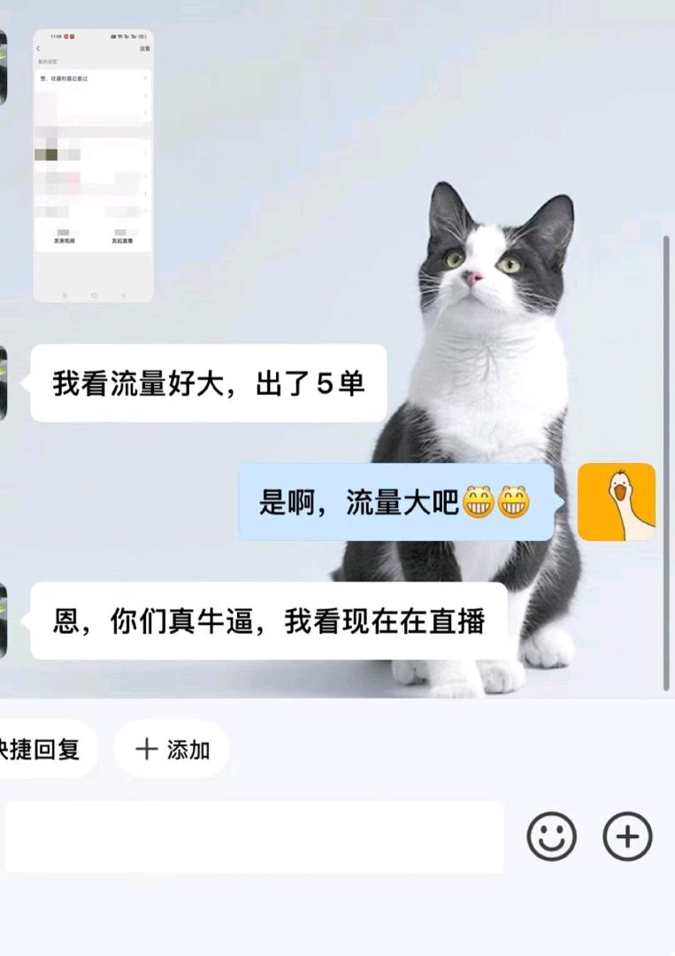 刘子豪找合伙人视频号带货，我负责投流运营，你只管享受收益，全程0门槛0费用，收益可观