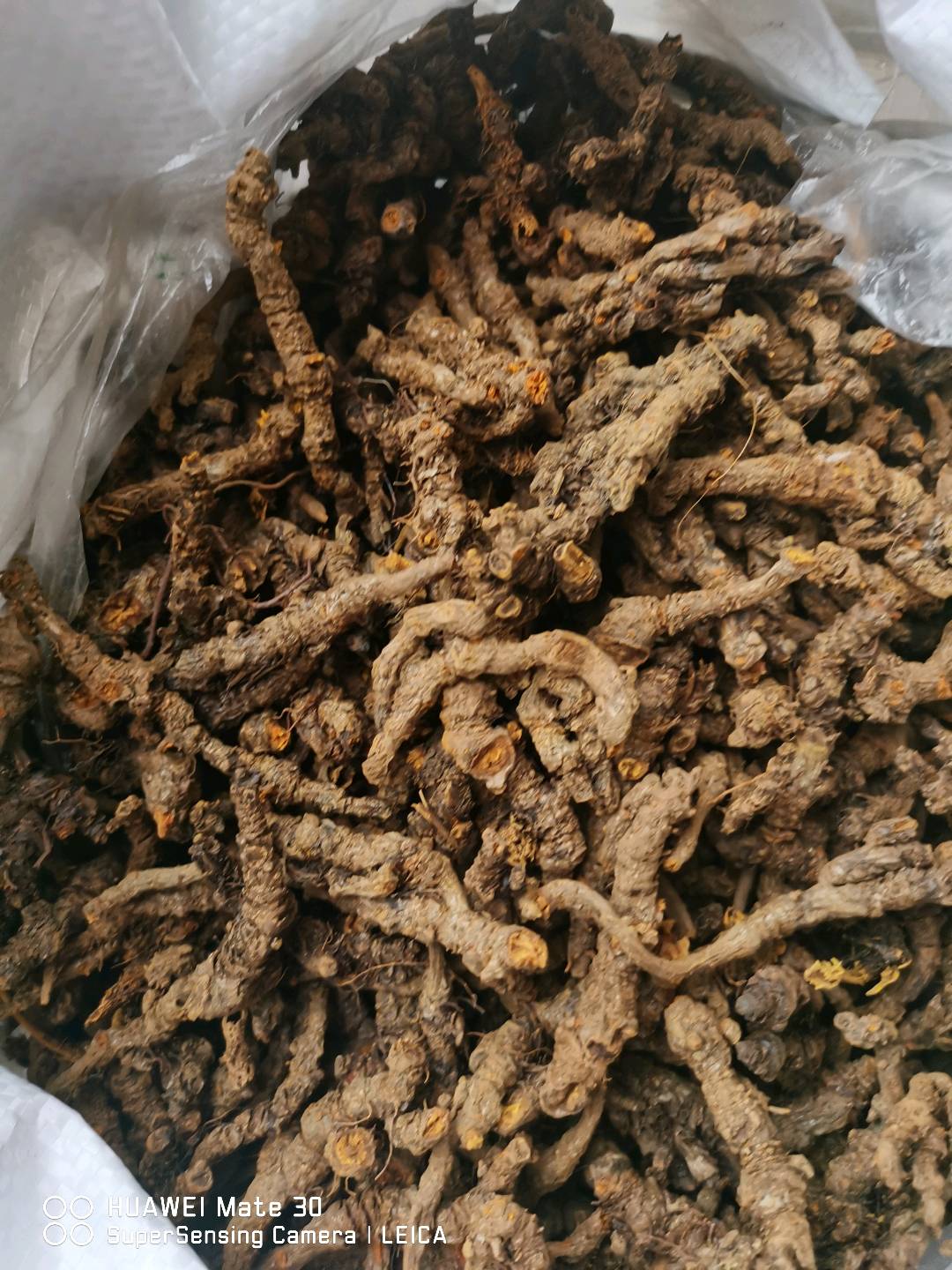刘林东销货渠道