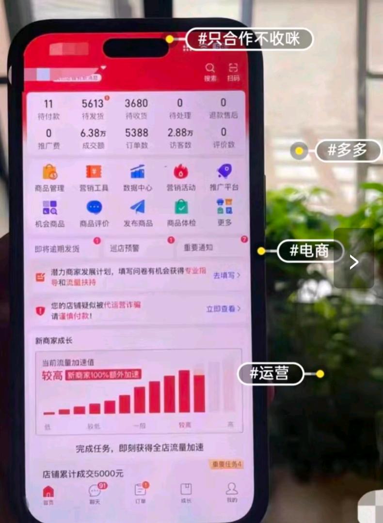陆女士找合伙人拼多多免费代运营，不收学费，合伙人分红模式，盈利后9/1分成