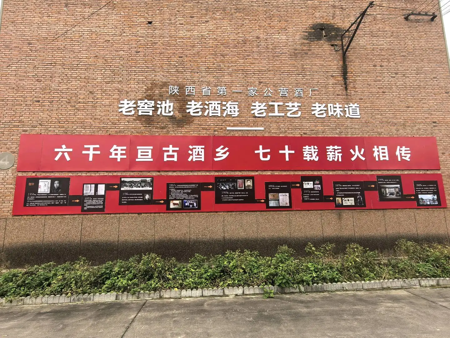 王伍源头厂家,自身品牌