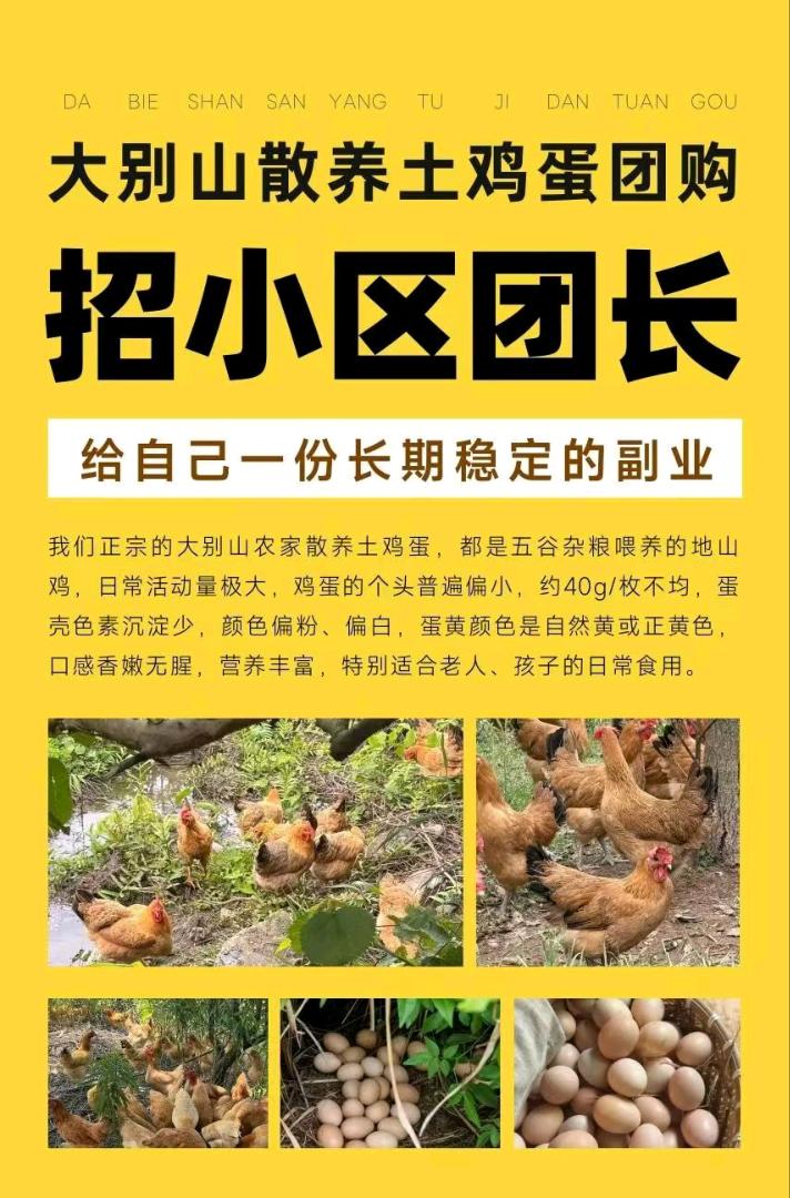 王先生找合伙人社区团购长