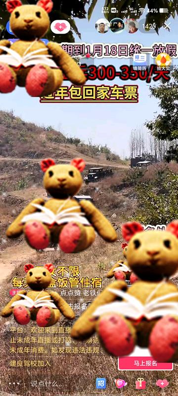 蔡女士找合伙人新互联网线上求职者推荐官