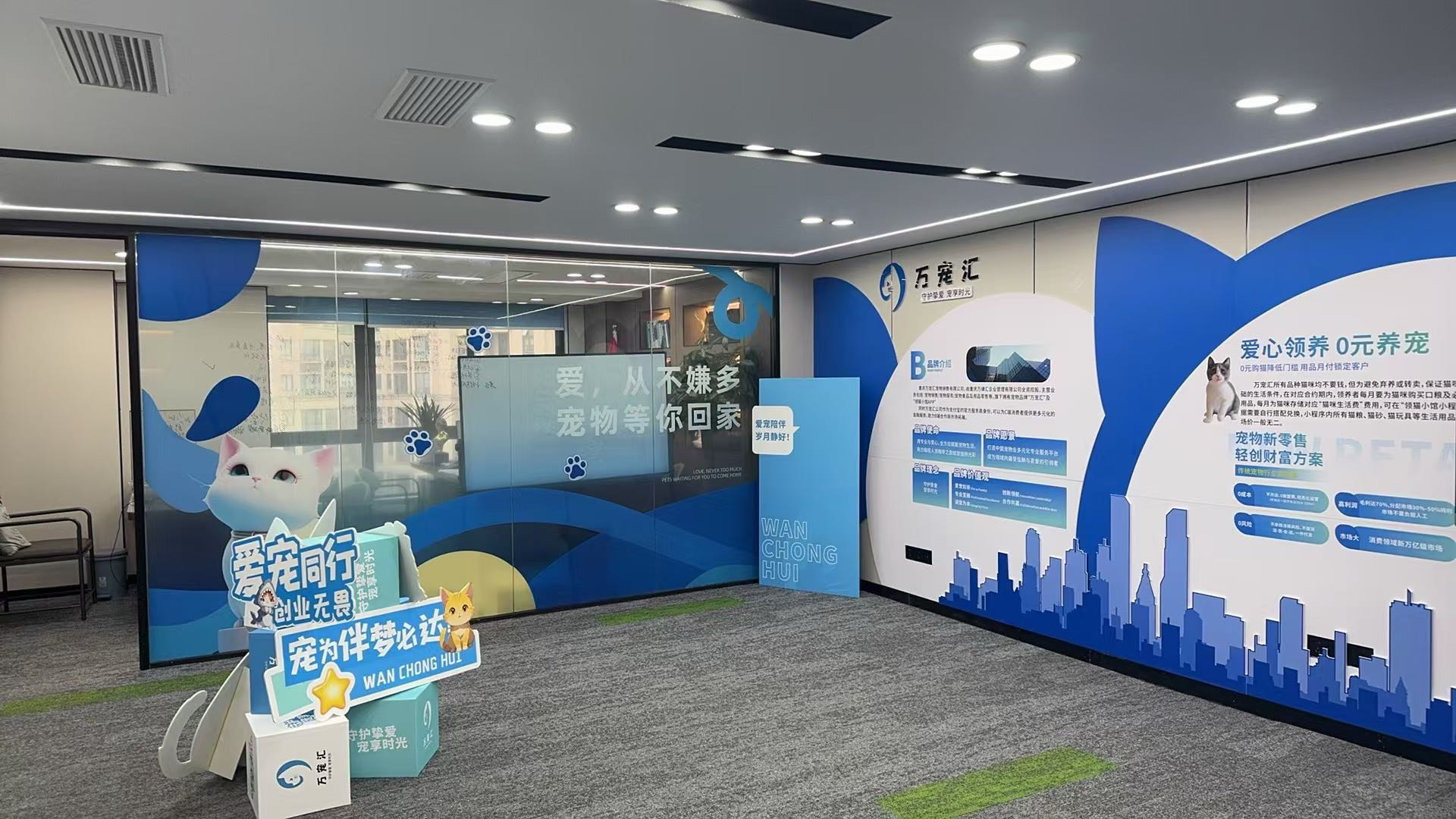 李先生提供优质品种猫咪资源，免费送养