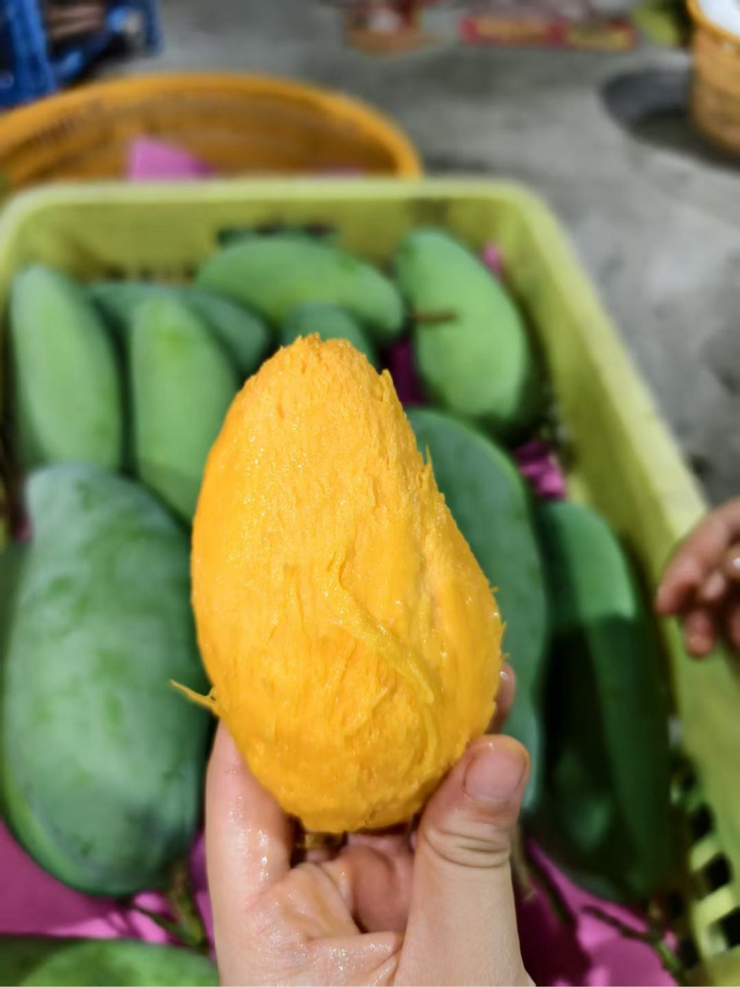 黄晋鹏品牌货源