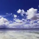 曾先生