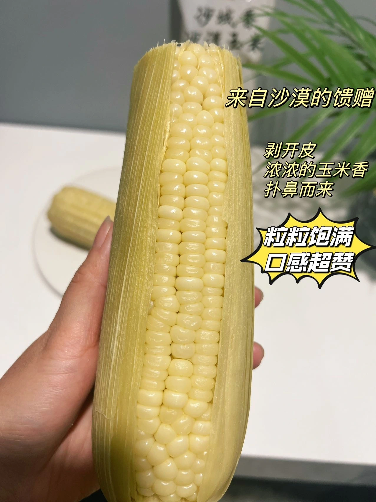 郭先生品牌货源