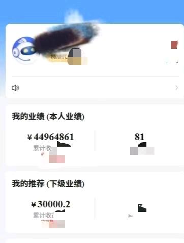 张佳浩找合伙人APP全绿色项目拉新推广业务