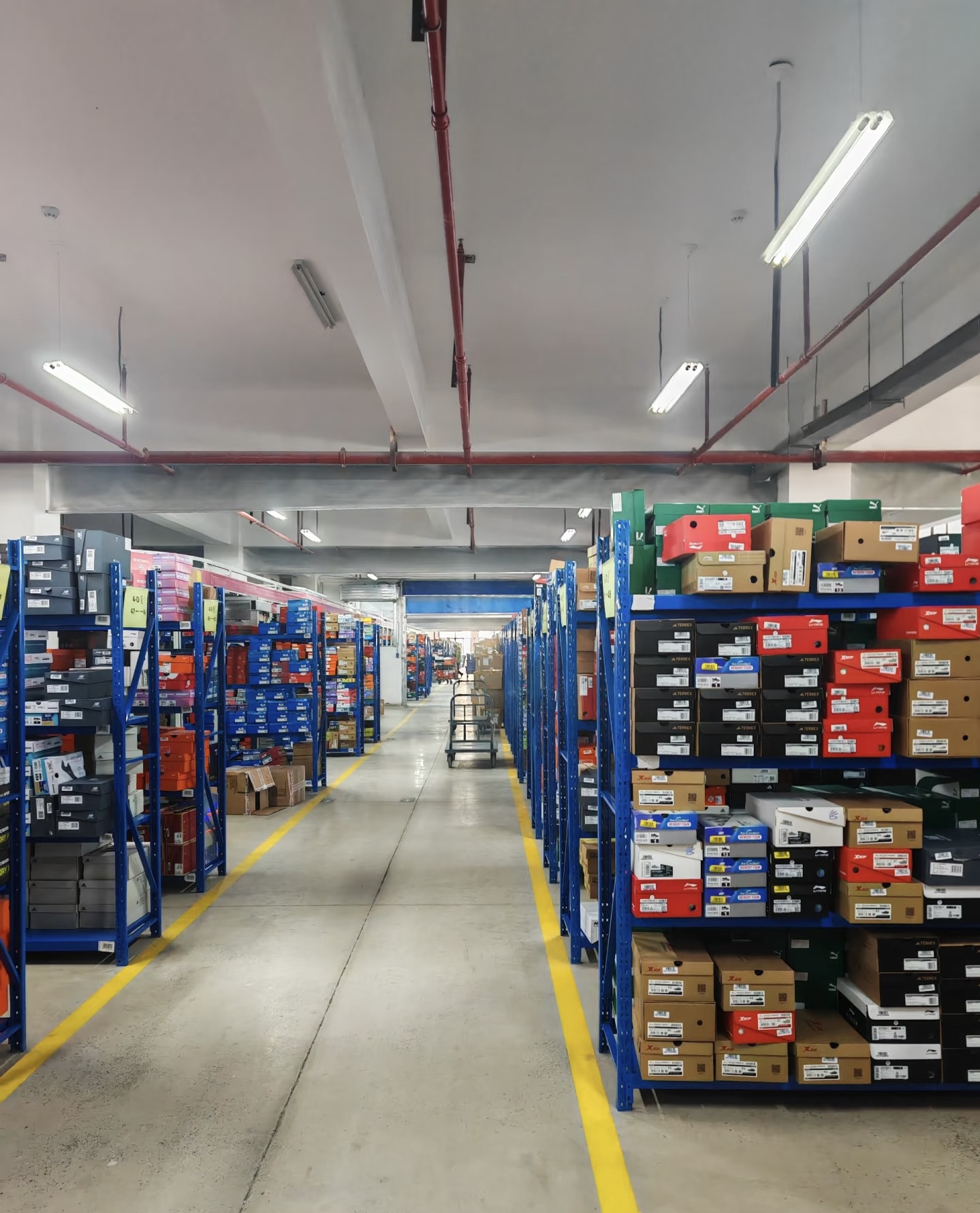 甄建瑜其他供需