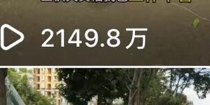 钟女士其他供需小说推文，日入，一部手机就可以做，一天*