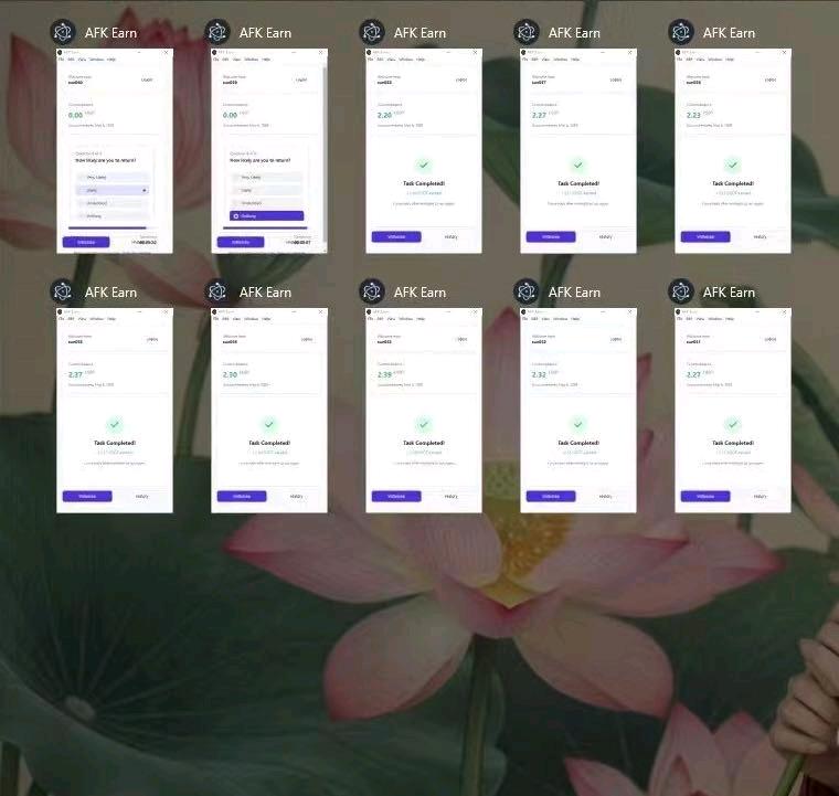 田女士其他供需AFK问卷调查自动窗口项目全国招学员及代理！可个人可团队，包教会