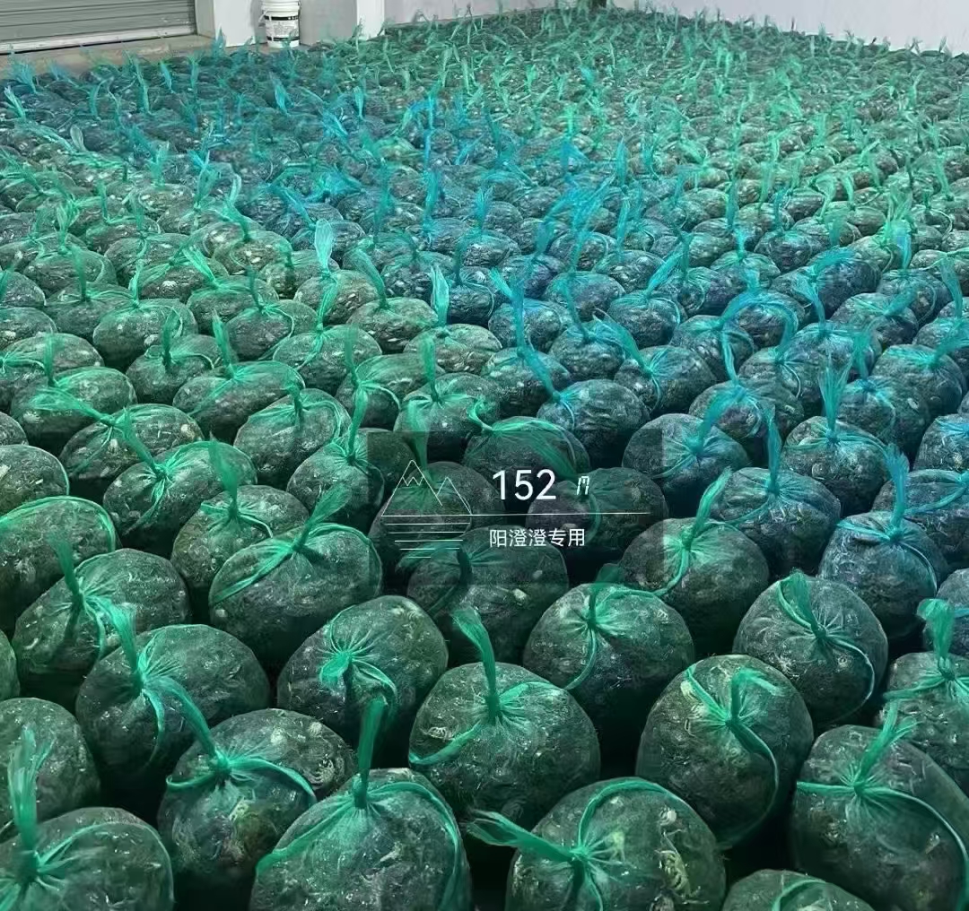 董传伟品牌货源
