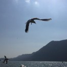 u客直谈实名认证高女士