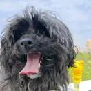 u客直谈实名认证朱权祥