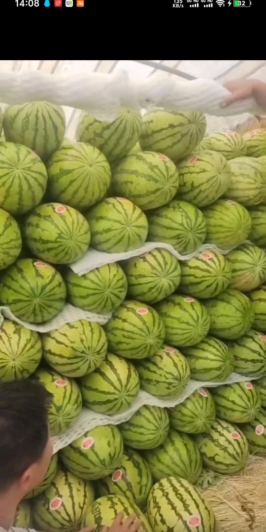 乃学明品牌货源