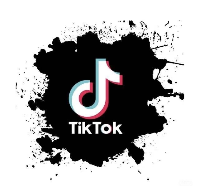 赵婉莹找合伙人TikTok小白短视频带货