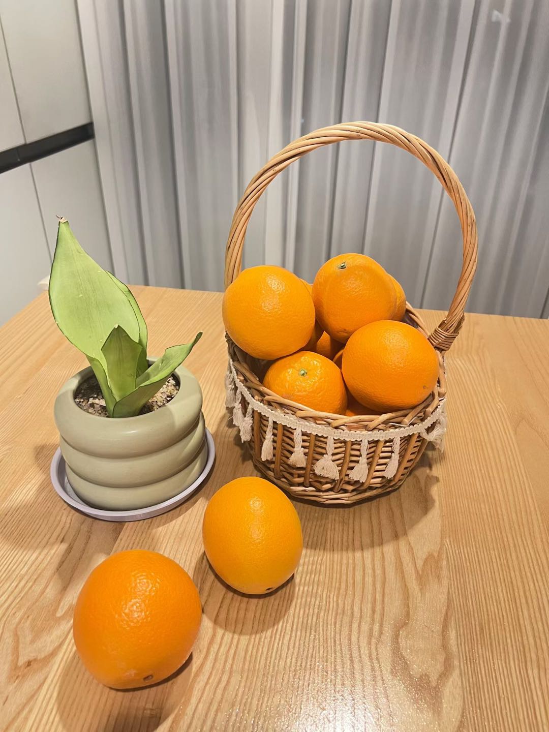 潘超赣南脐橙种植