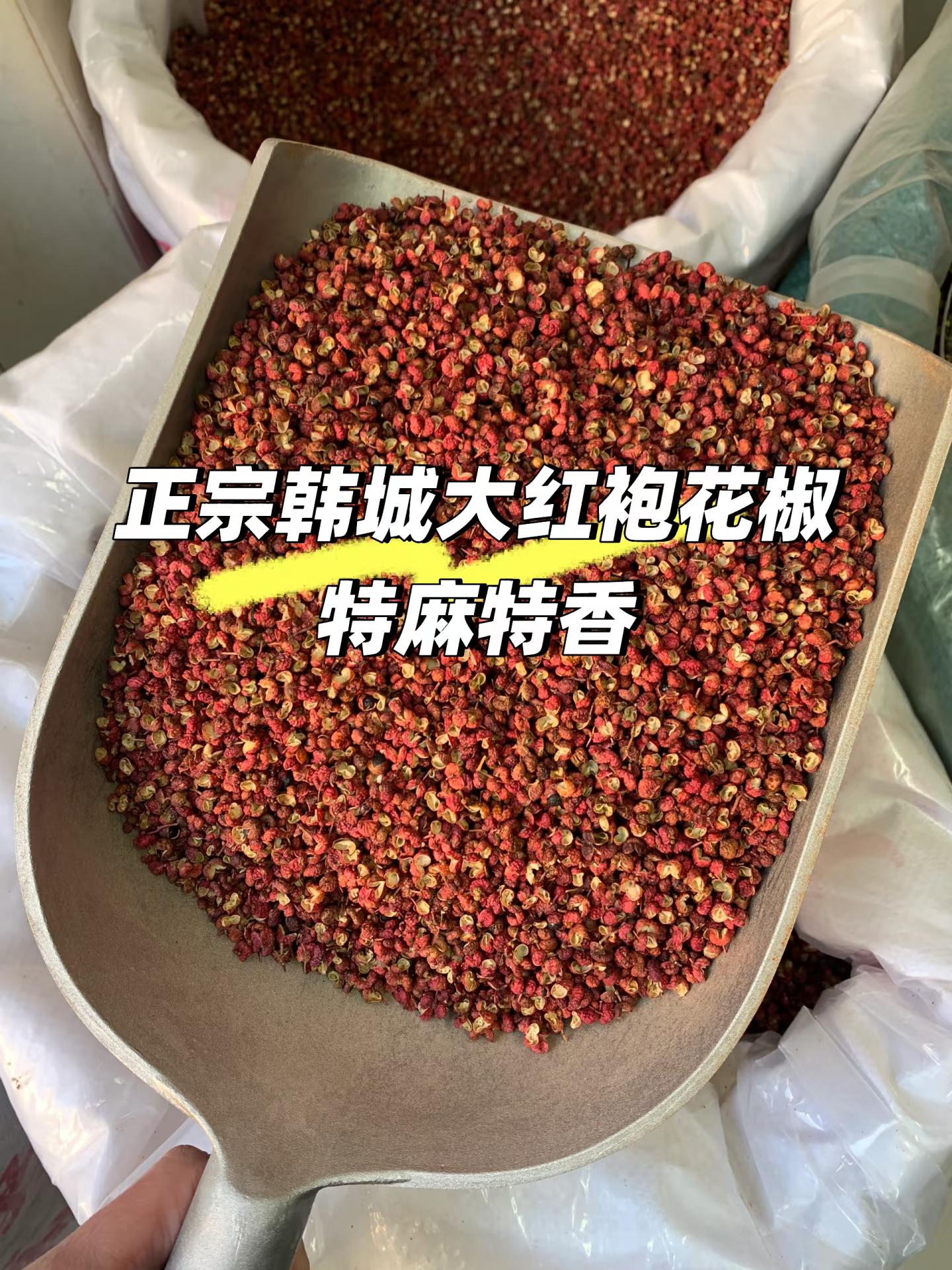 谢亚飞自家产地,正宗韩城大红袍花椒,产地批发价,量大从优
