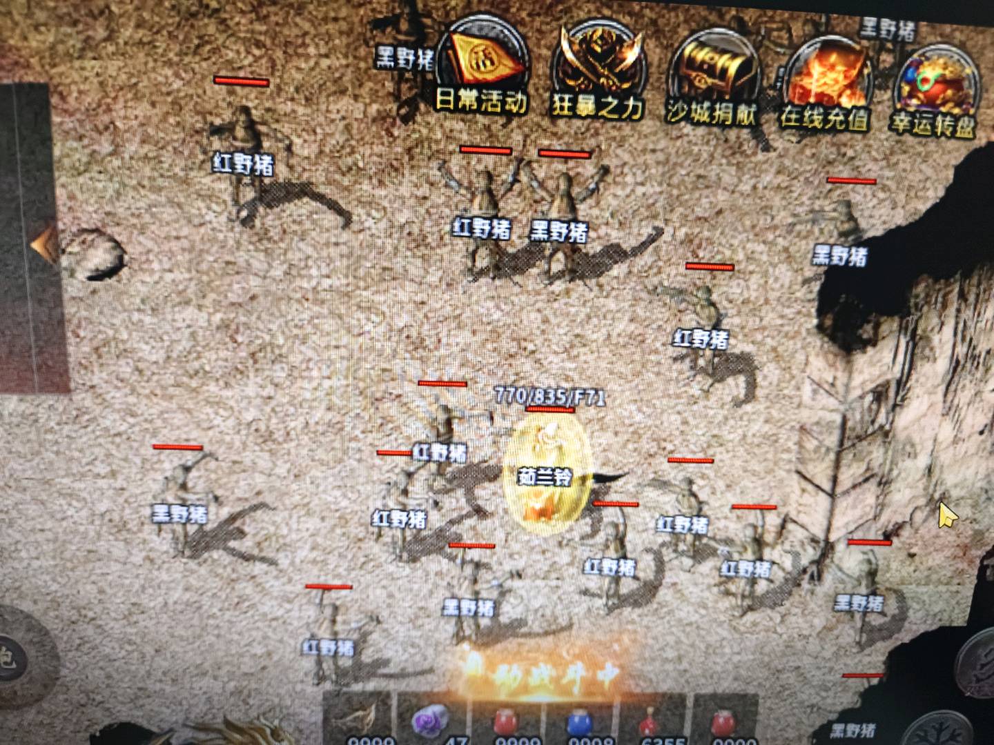 李女士找合伙人