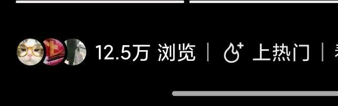 罗女士找合伙人小说推文项目实操,零基础日赚*