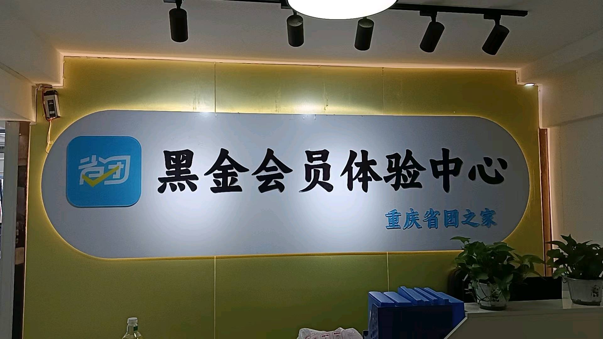 刘女士其他供需一部手机就能做的线上兼职，0投资，0收费，可管道收益