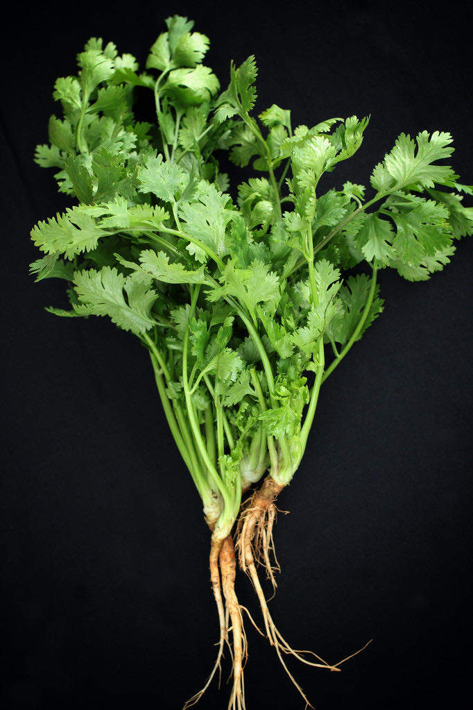 单启潮品牌货源